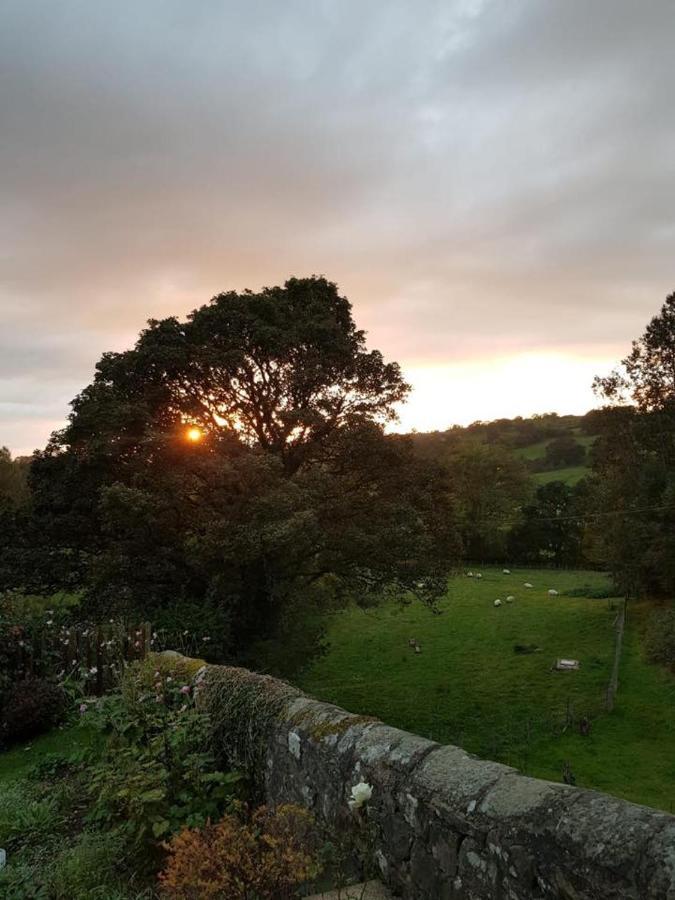 Low Nook Farm Holiday Cottage Брамптън Екстериор снимка