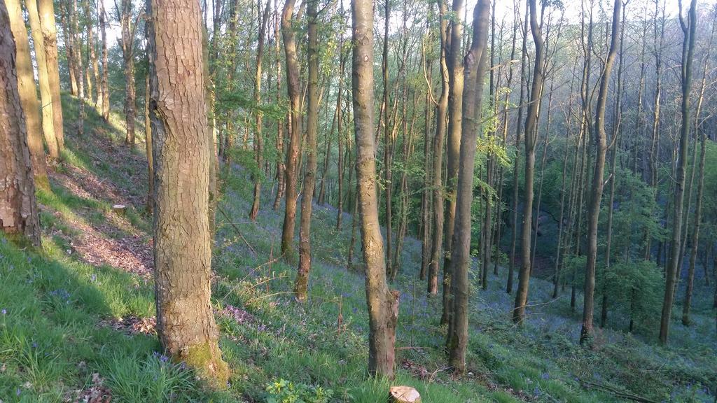 Low Nook Farm Holiday Cottage Брамптън Екстериор снимка